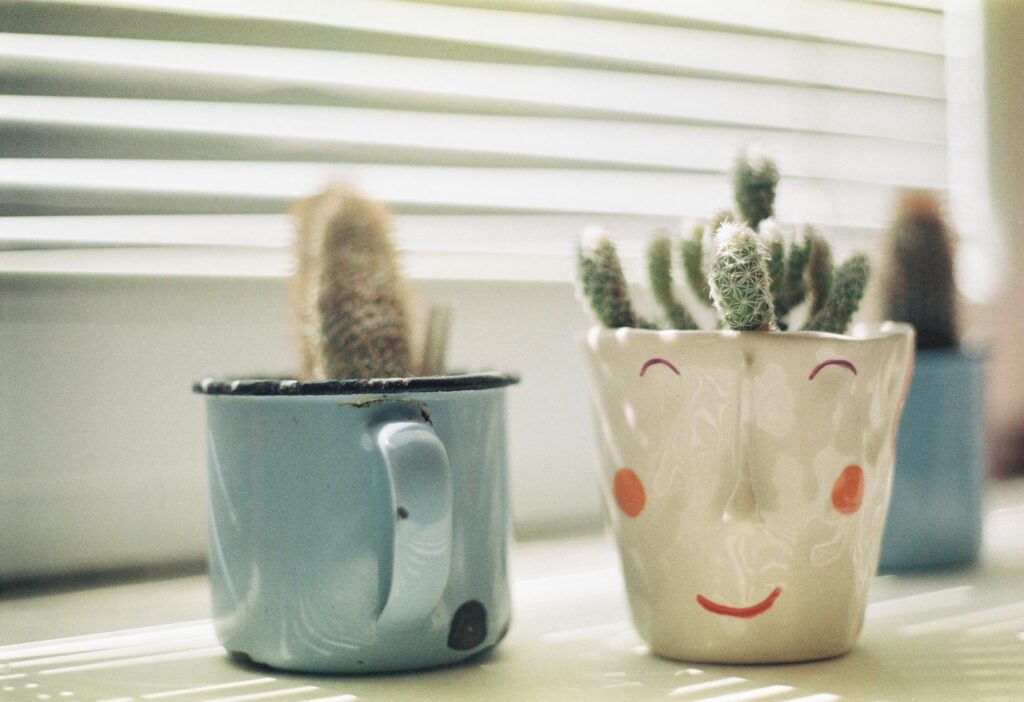 5 Summer Decor Trends That Will Brighten Up Your Home