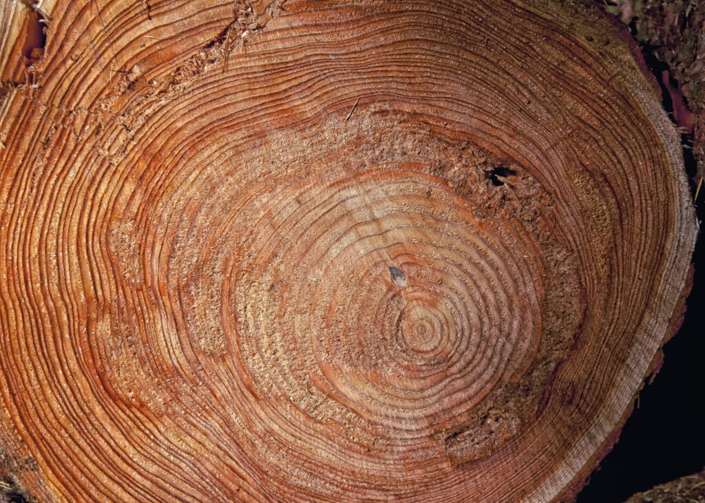 10 Home Decor Items You Can Find for Free (or Almost Free)