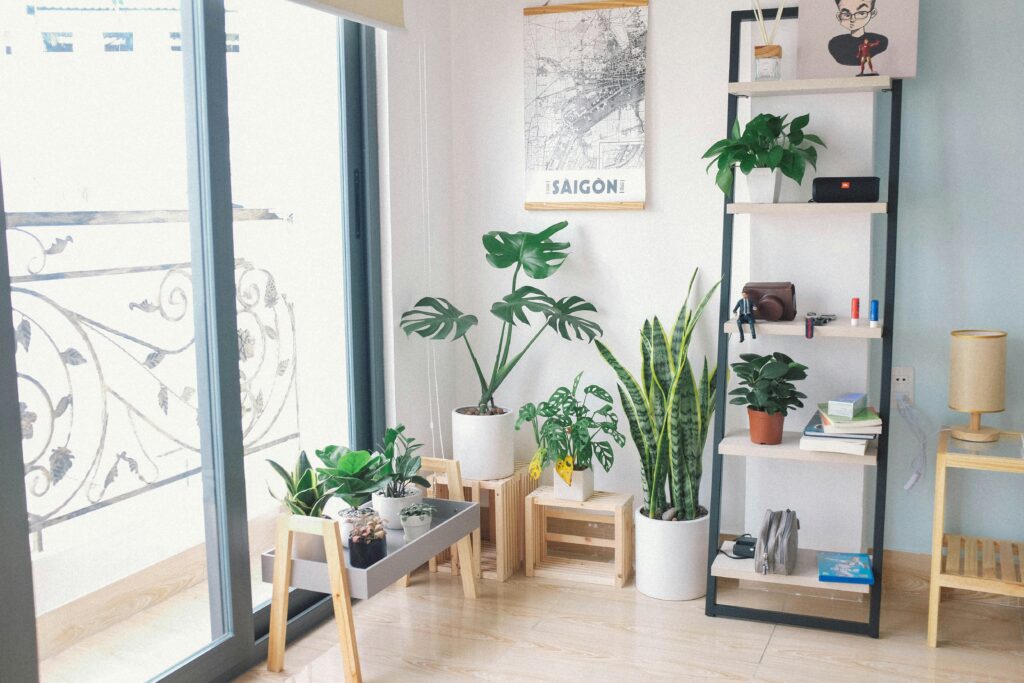 How Adding Greenery Can Instantly Warm Up a Space