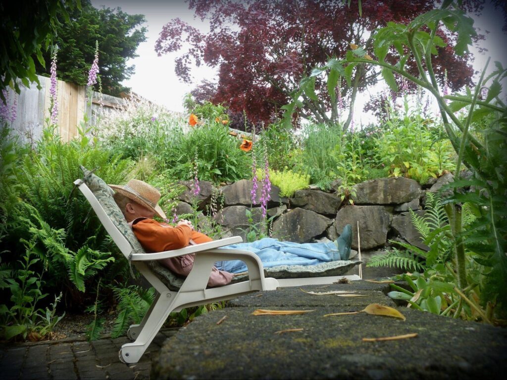 6 Easy Ways to Transform Your Backyard Into an Oasis