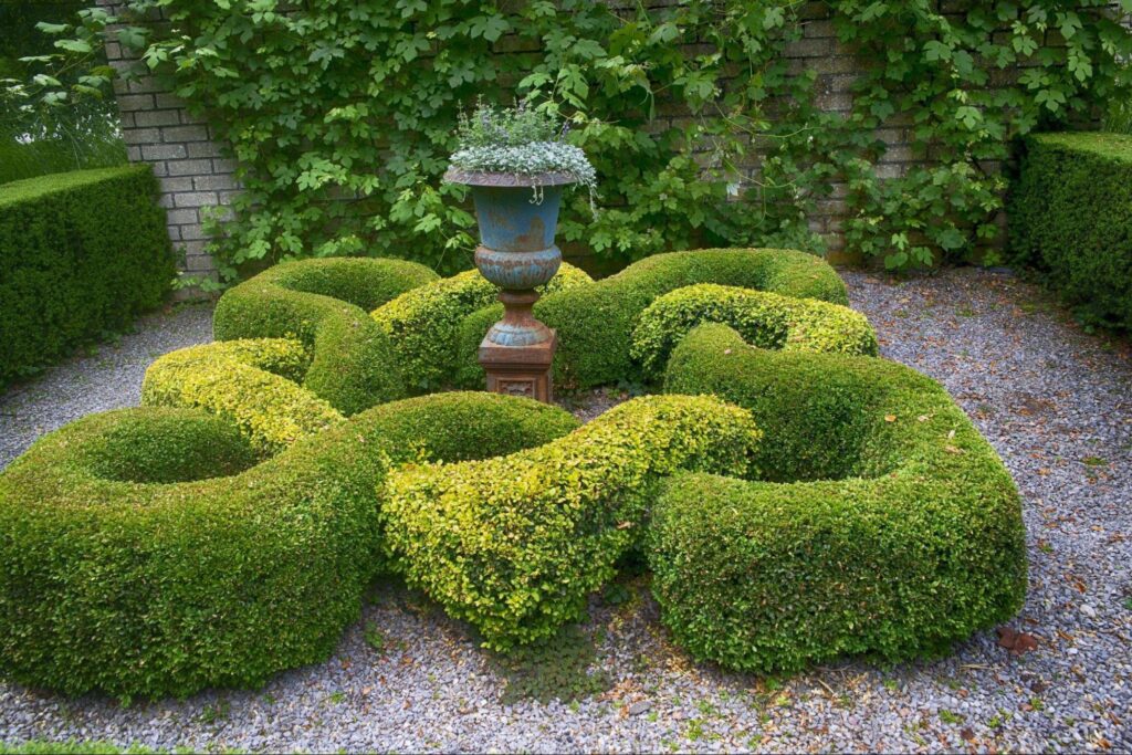 The $15 Plant That Makes Any Yard Look Luxe