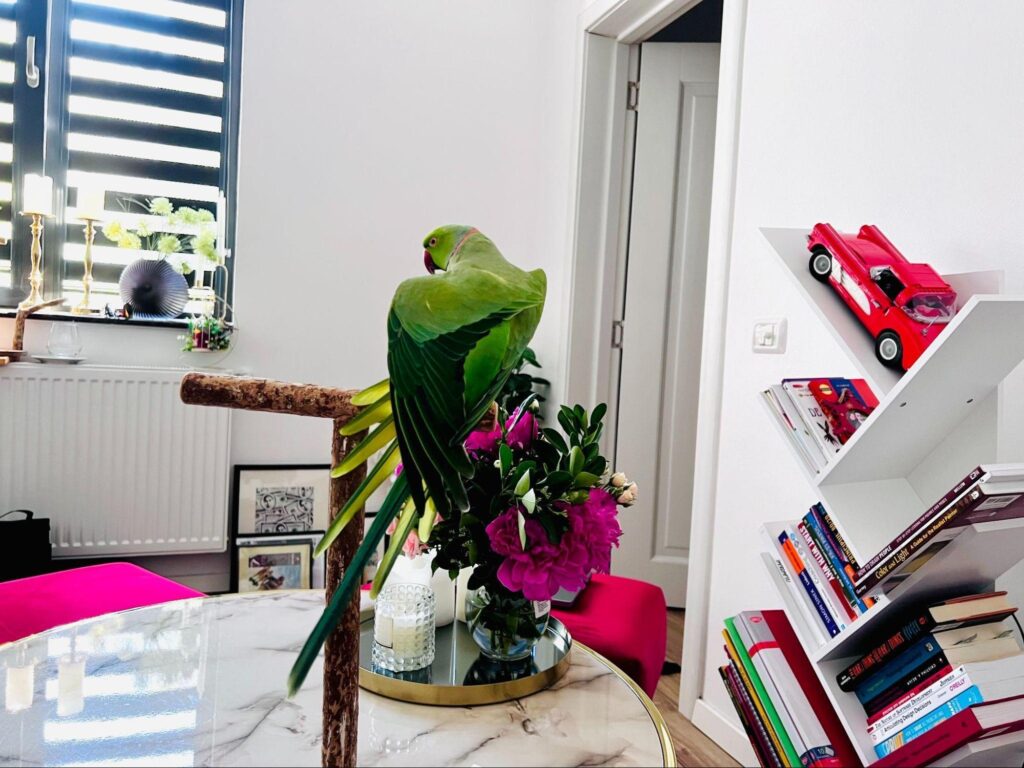 Why Minimalist Interiors Are Out—And What's In