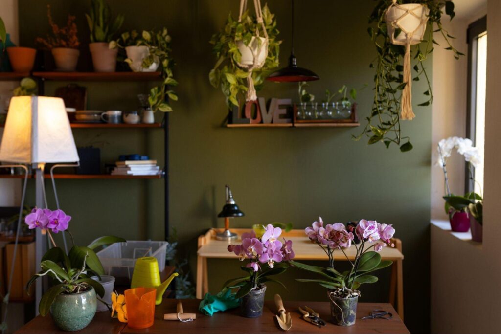 This Surprising Color Is Taking Over Modern Homes