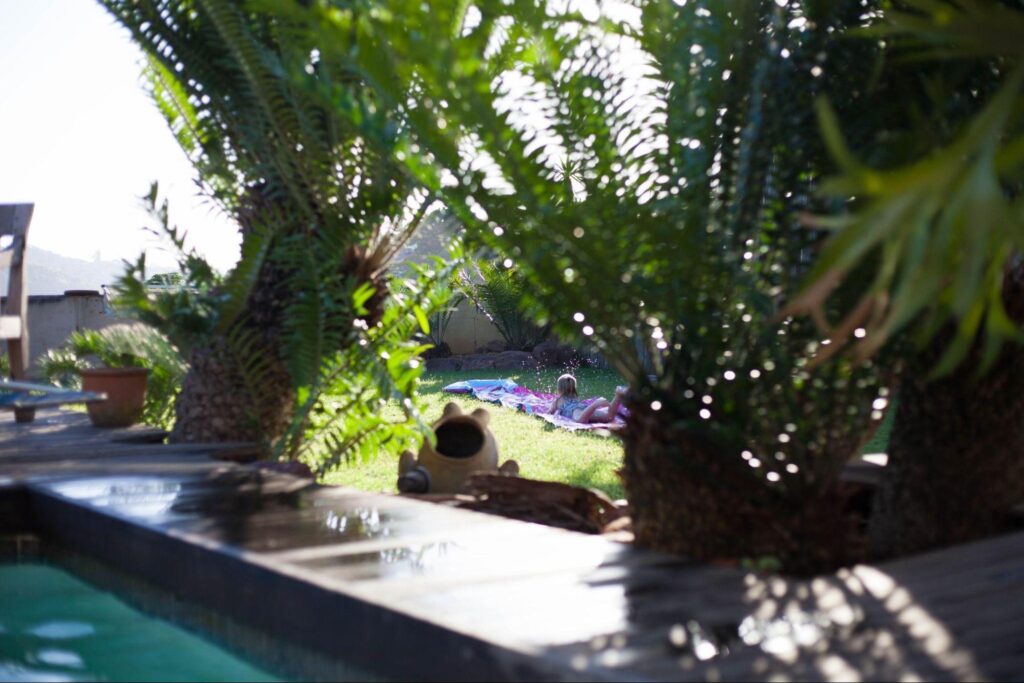 6 Easy Ways to Transform Your Backyard Into an Oasis