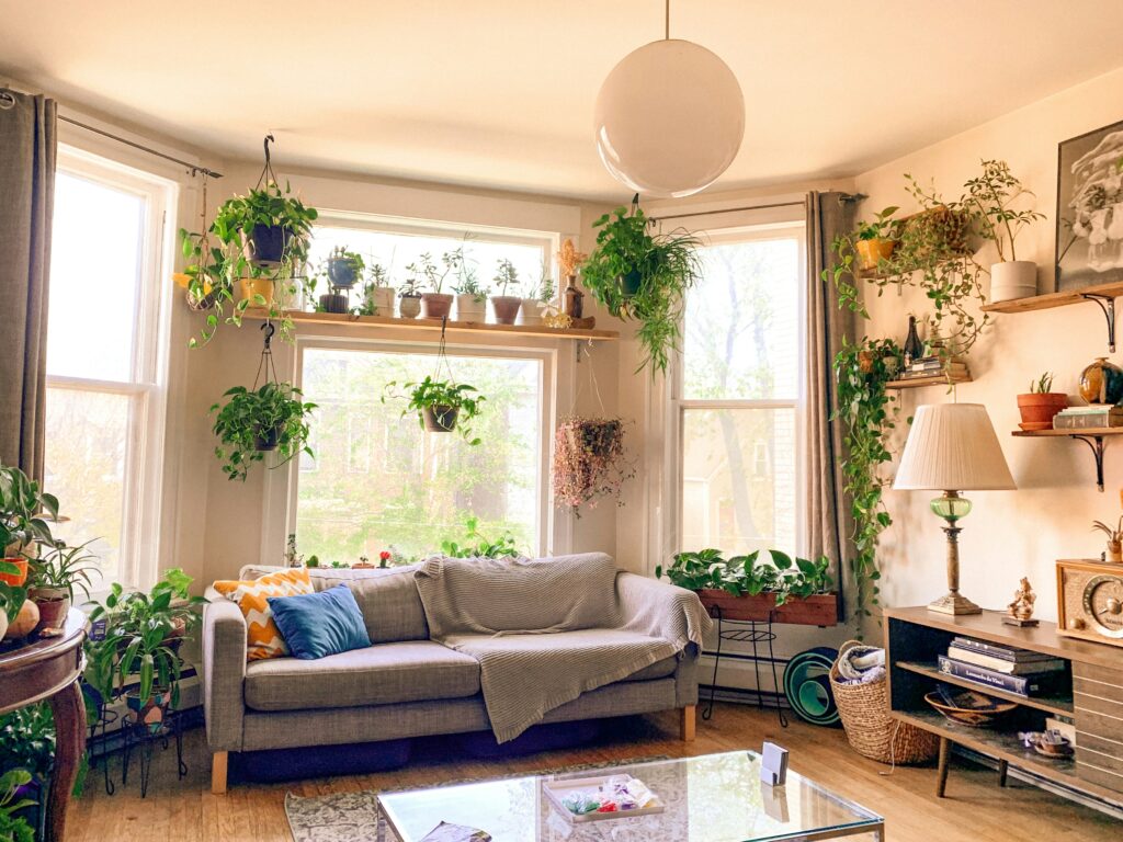 How Adding Greenery Can Instantly Warm Up a Space
