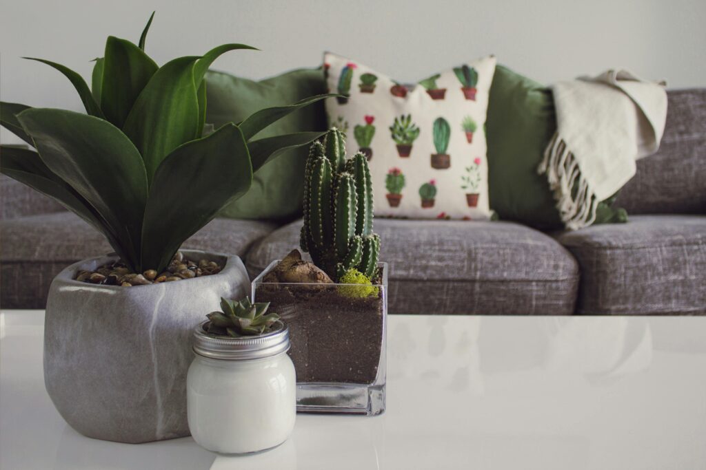 How Adding Greenery Can Instantly Warm Up a Space