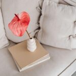 Modern Meets Cozy: How to Blend Styles Like a Pro