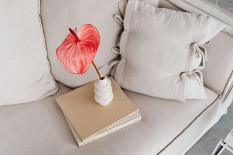 Modern Meets Cozy: How to Blend Styles Like a Pro