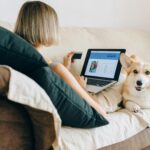 These Clever Tricks Will Keep Pets from Ruining Your Furniture