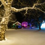 5 Outdoor Lighting Ideas That Create Instant Ambiance