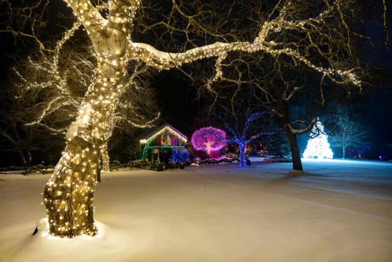 5 Outdoor Lighting Ideas That Create Instant Ambiance
