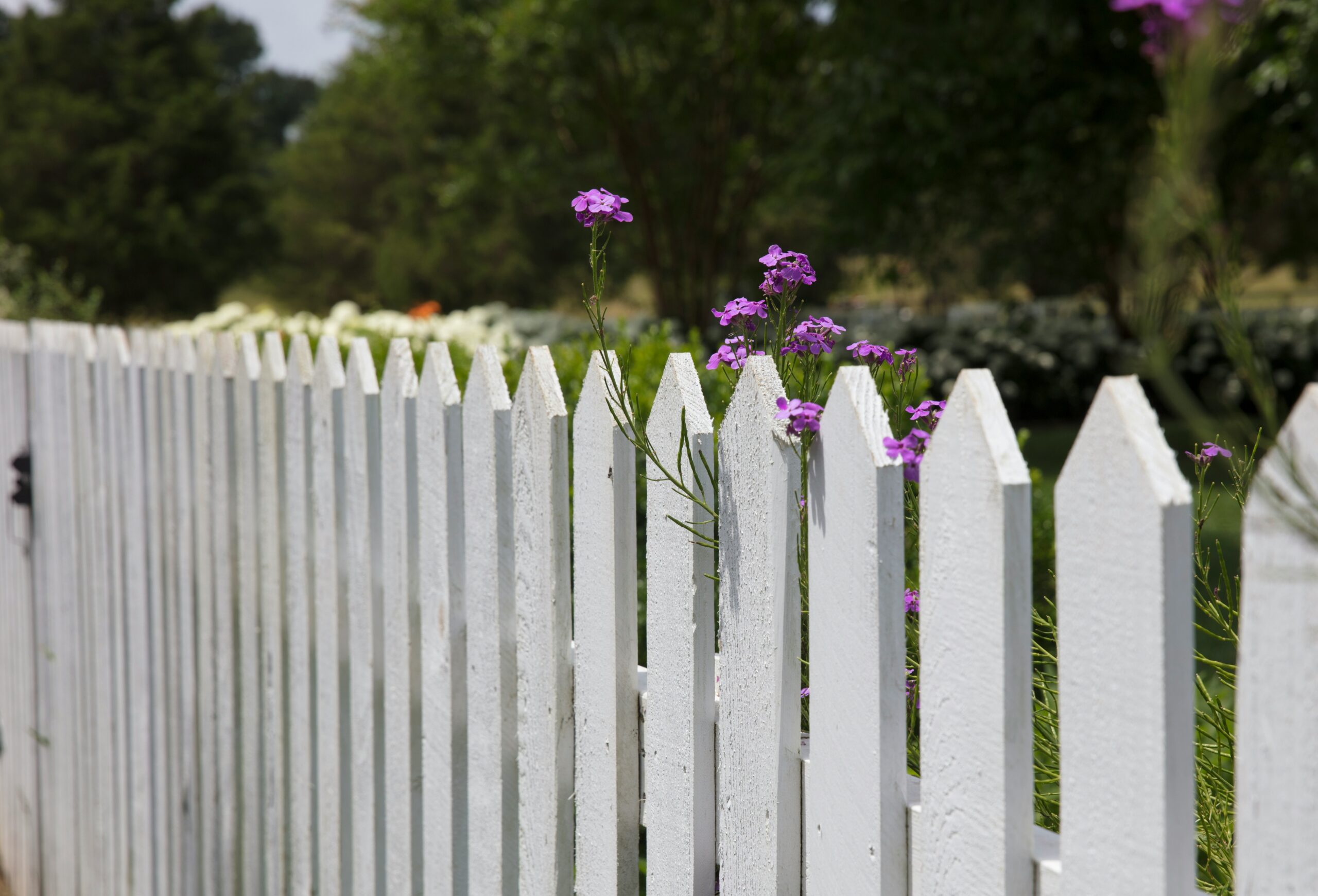 How to Upgrade Your Fence Without Replacing It